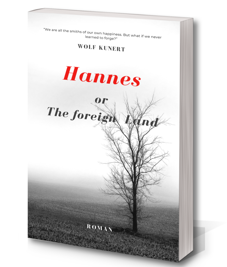 My book: Hannes or The foreign Land